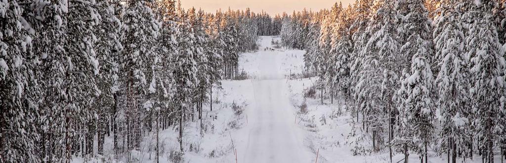 Rovaniemen kaupungin kansalaisopiston syyskaudella alkavia kursseja.