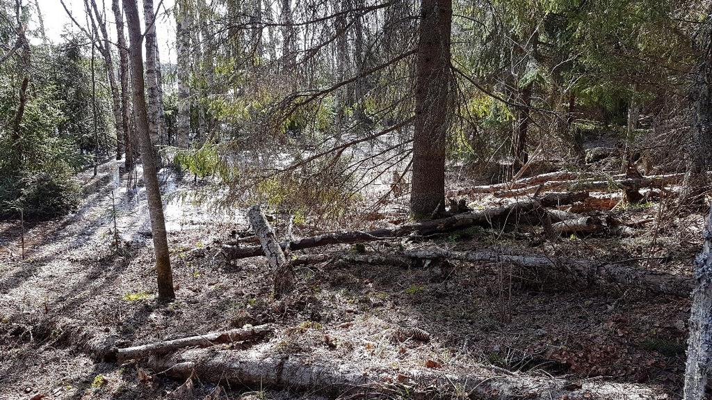 MATKUSRANNAN RANTA-ASEMAKAAVA Suunnittelu Haltilahti 11