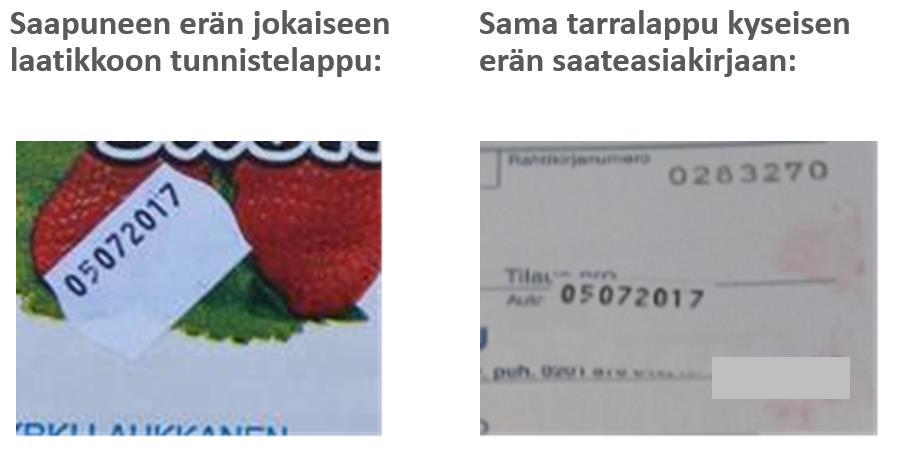 Lainsäädäntöviittaukset: 1) Komission täytäntöönpanoasetus (EU) N:o 543/2011, neuvoston asetuksen (EY) N:o 1234/2007 soveltamista koskevista yksityiskohtaisista säännöistä hedelmä- ja vihannesalan