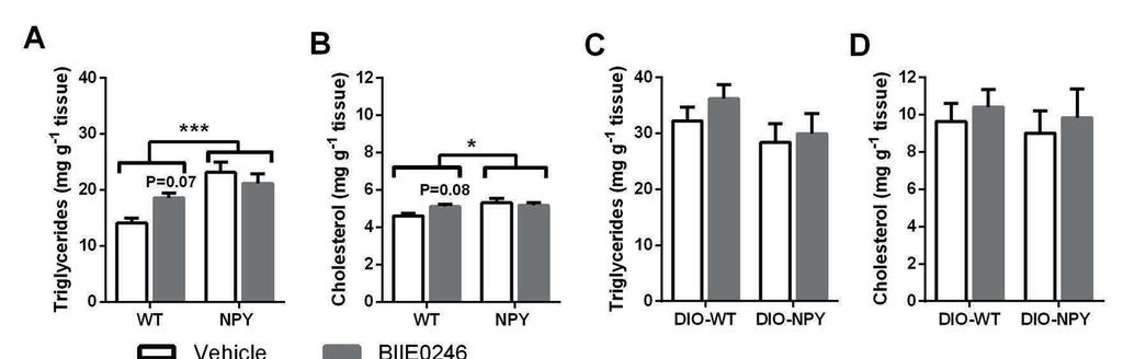 88 Results and Discussion In the liver, the effect of BIIE0246 was different between the genotypes.