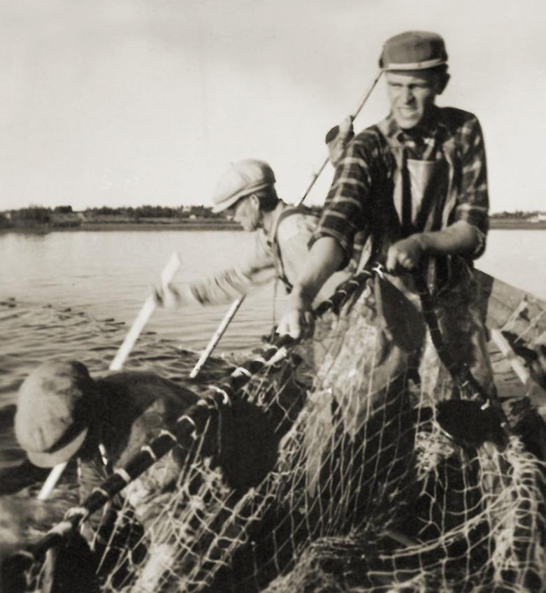 2. Järviväylän apaja Järviväyläksi sanotaan apajaa, joka on Mustasaaren alapuolella. Karunginjärvi on siinä auki leveänä.