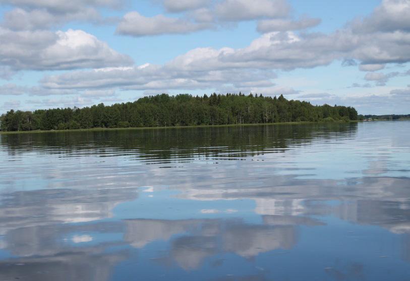 Kuva2. Mustasaari. (Jarno Niskala) Kuva.