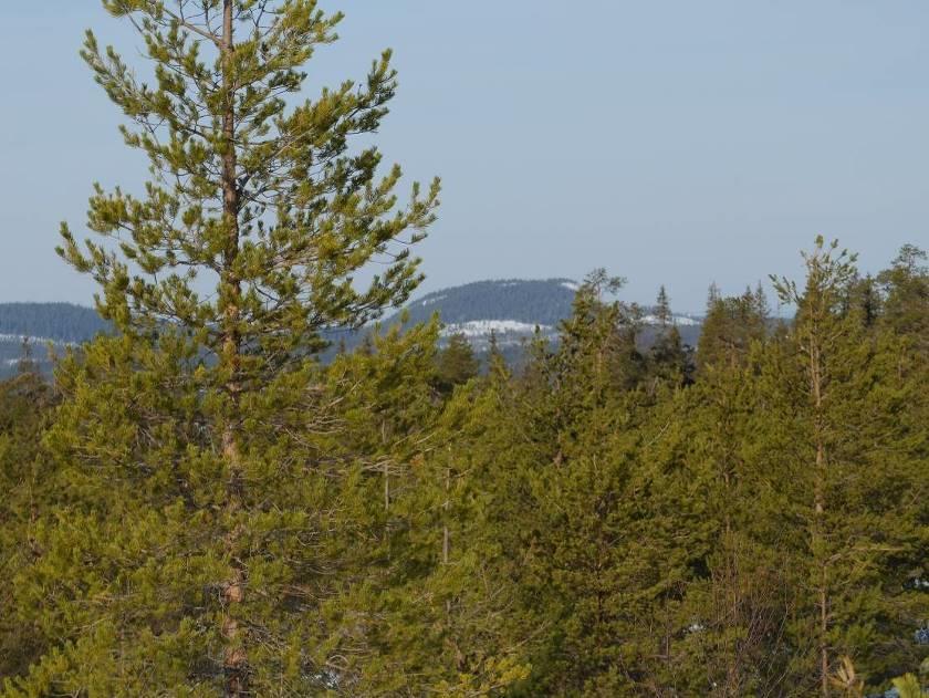1 Alueen yleiskuvaus Alue on kohtuullisen hyvin lomarakentamiseen ja matkailurakentamiseen soveltuvaa, pinnanmuodostukseltaan ja maisemiltaan vaihtelevaa maastoa.