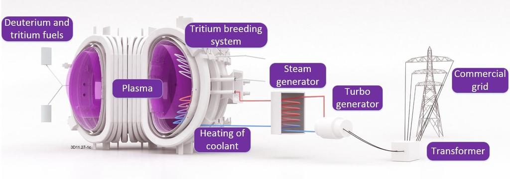 9 of a future fusion power plant, such as DEMO. Deuterium and tritium form a fusion plasma inside the reactor.