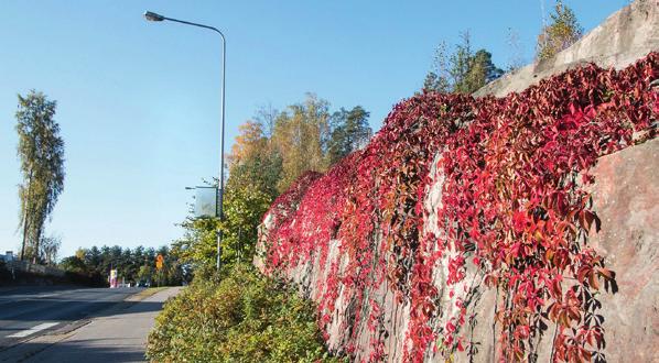 Tervetuloa asumaan vehreään Vaaralaan Asunto Oy Vantaan Pikkutalvio sijoittuu rauhallisen ja arvostetun Rajatien varrelle. Kumpuilevaa tietä reunustaa runsaat ja vehreät valmiit pihapiirit.