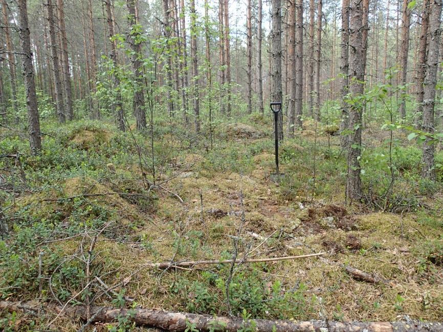 Taustalla Seinäjärvi.