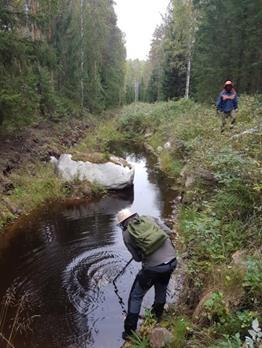 Tutkimus 2 Biologiset vaikutukset -pohjaeläimet ja kalat (+ravut, päällyslevästö)