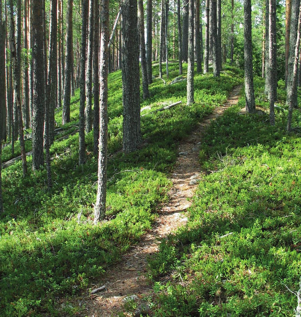 Cityä ja aloitta hankkeiden aktiivisen kehittymisen