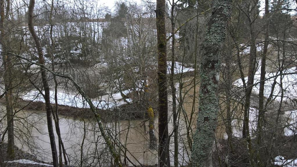 Vesiensuojelutoimenpiteet osana peruskuivatusta Luonnonmukaisen peruskuivatuksen hyödyt Turvataan uomien vedenjohtokyky Uomien kunnossapitotarve vähenee