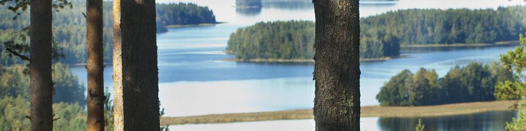 Kosketa ja kuuntele, hengitä ja katsele, haista ja maista, liiku ja leiki luonnossa saat monta kärpästä kerralla.