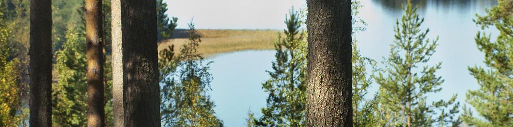 Ihmiset luovat kohtaamispaikat, naapuruston, kodin ja tunnelman. Kuopiossa ei puhetta puutu.