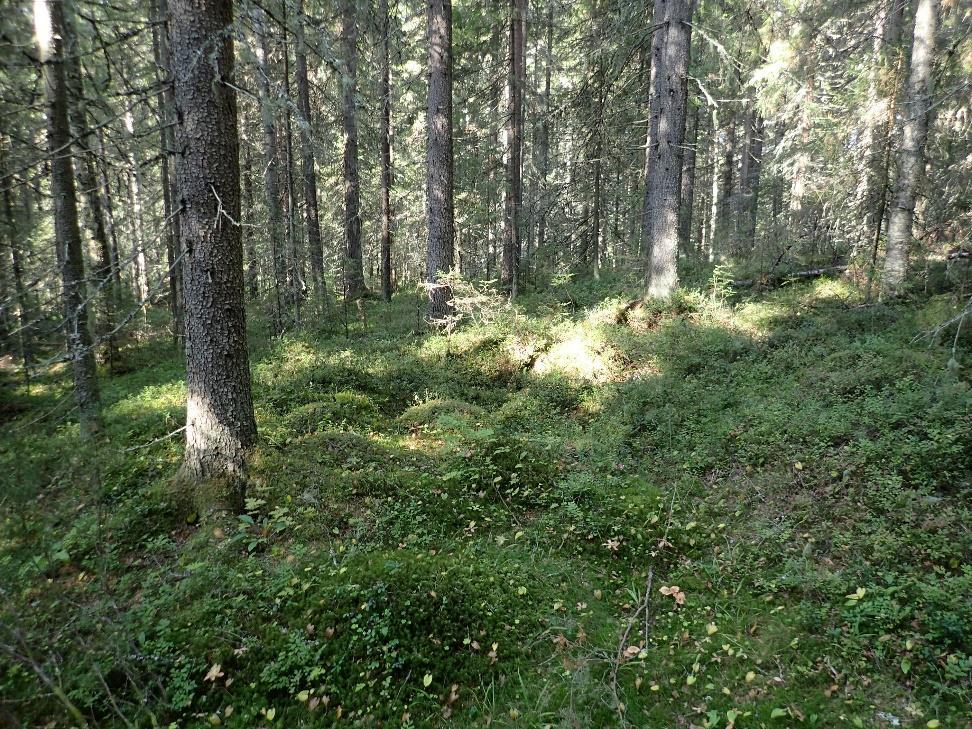 8 Vanhojen karttojen tarkastelun lisäksi inventoinnin valmisteluvaiheessa tarkastettiin aluetta kuvaava maanmittauslaitoksen rinnevarjostusmalli.