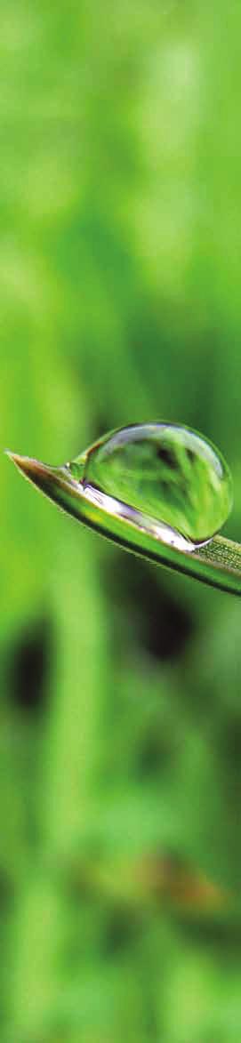 biologisesti monimuotoisille