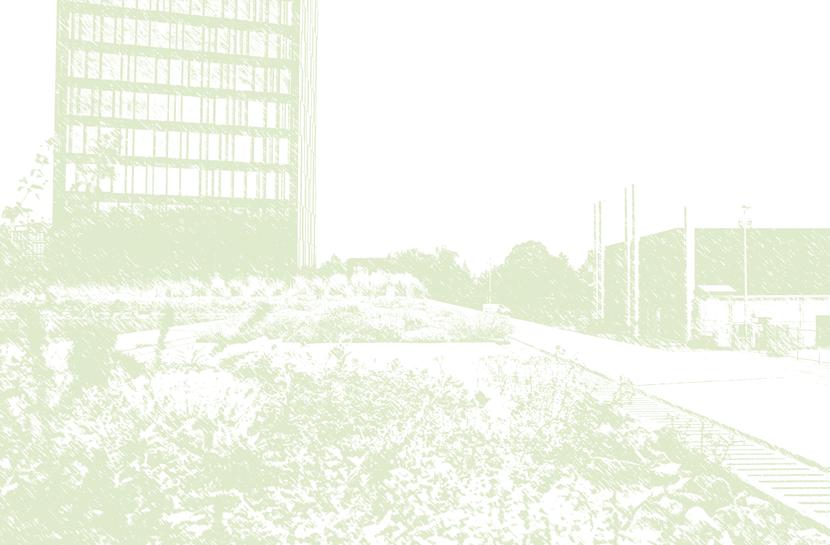 Järjestelmäratkaisu Huleveden hallinta katolla Miksi hulevesien hallintaa katolla?