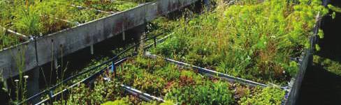 7 10 mm/pv * Rakennekorkeutta voidaan vähentää tai lisätä