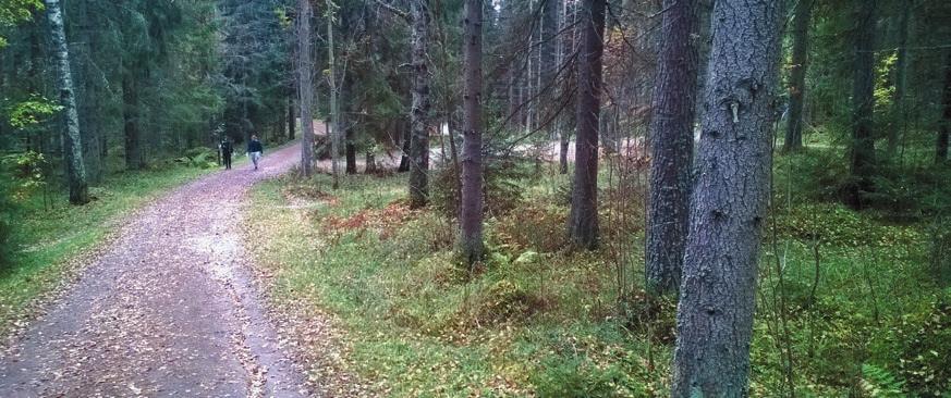 VIERASKYNÄ: Tommi Granholm, Kuntien Metsäasiantuntijat ry Kunnat ovat metsänhoidon näyteikkuna Kaupunkien ja kuntien omistusosuus Suomen metsistä on pinta-alasta laskettuna vain parin prosentin