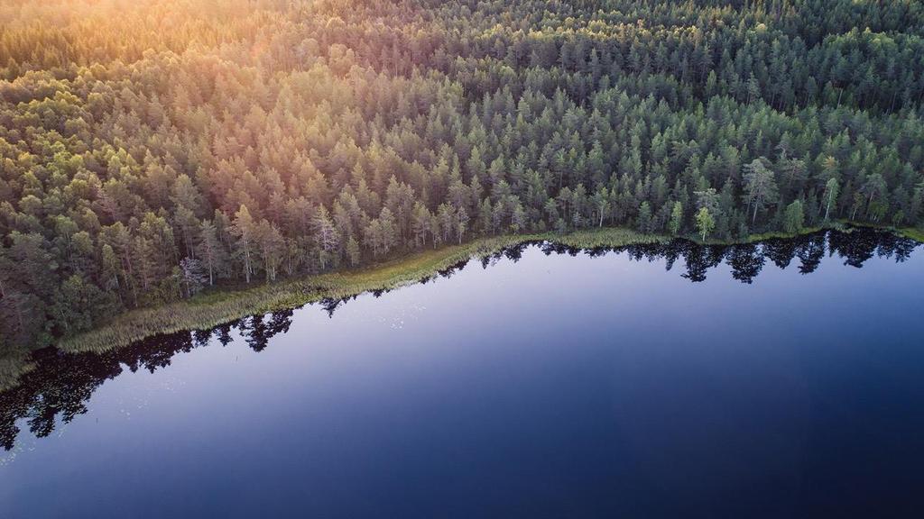 Maaseudun kehittämisohjelma