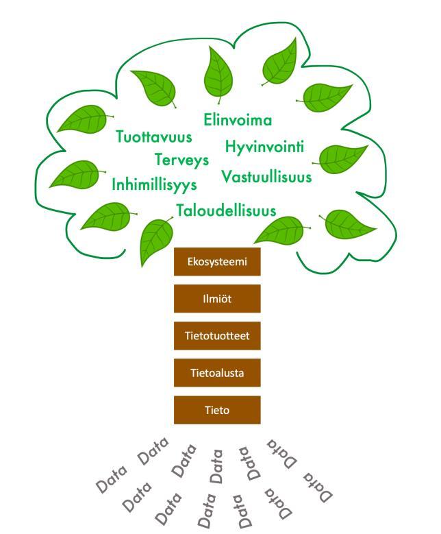 Tiedosta toimeen: askeleet kohti kestävää yhteentoimivaa taloutta ja parempaa tieto-ohjautuvuutta Alla olevassa tiedon puussa on kuvattu tietojohtamisen olennaisimmat osa-alueet.