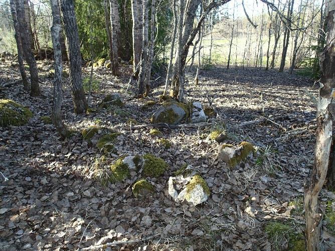 4 Alueella havaittiin muutamia peltokivikasoja (ei muinaisjäännöksiä). Metsäsaarekkeessa pellon keskellä, saarekkeen ja pellon reunassa on tyypillisiä peltokivikasoja (koko 2 x 1.5 x 0.5 m, 3 x 1.