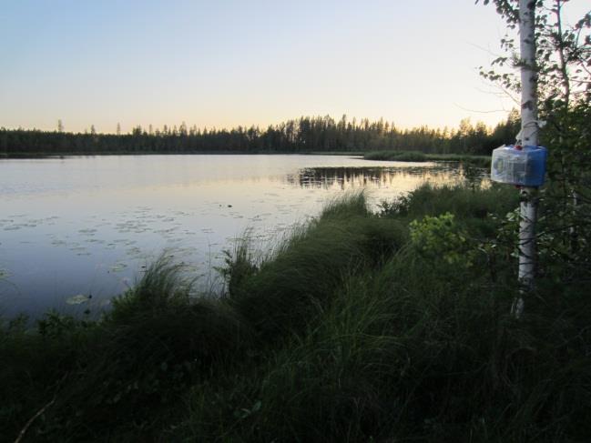 Detektori sijoitettiin järven pohjoisimpiin osiin, missä ranta on muita alueita suojaisampi. Seurantapaikan ympäristössä järven rantoja luonnehtivat leveät nevavyöhykkeet.