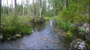 Heinijärven valuma-alueelle on rakennettu laskeutusaltaita ja pohjakynnyksiä sekä asennettu Luolalamminojaan kemiallinen fosforinsaostuslaite. Yhdistykselle on hankittu niittokone.