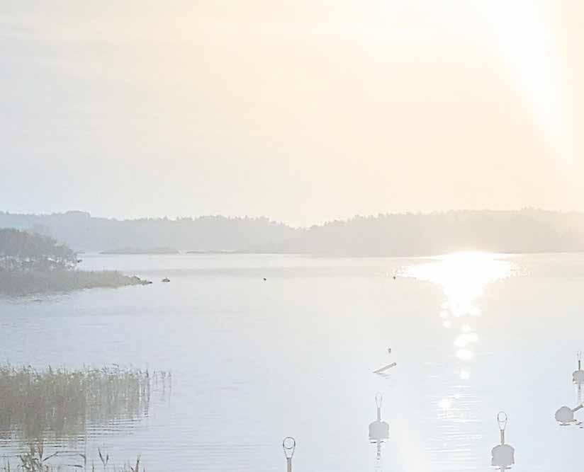 Vaihelan juhannus 2019 Lipunnosto aattona kello 18. Lipun jälkeen nousee juhannussalko.