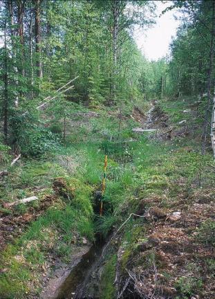 Vesiensuojelu kunnostusojituksessa Ojakohtaista kiintoaineskuormaa voidaan vähentää