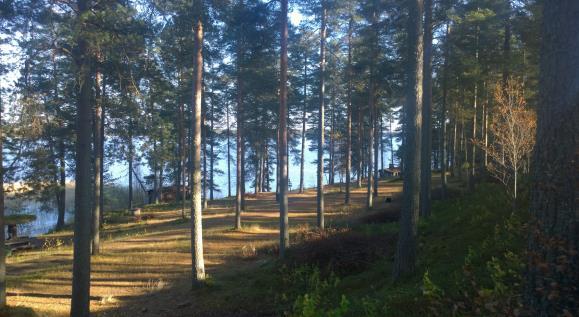 Kaavamuutoksen on tarkoitus mahdollistaa tasokkaiden loma-asuntojen ja niihin liittyvien saunojen ja huoltorakennusten rakentaminen
