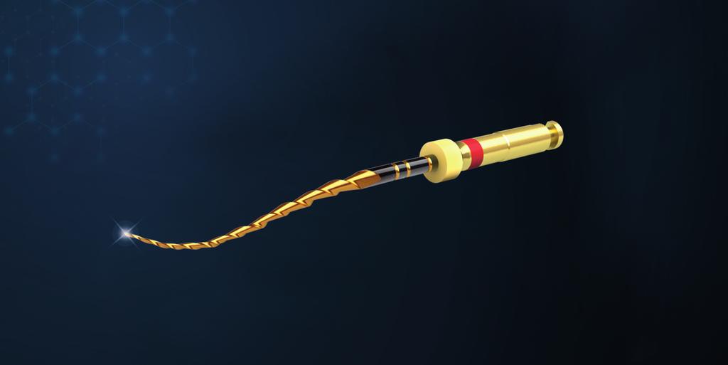 ENDO DNA TEHOKAS