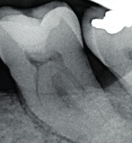 POTILASTAPAUS Dr.