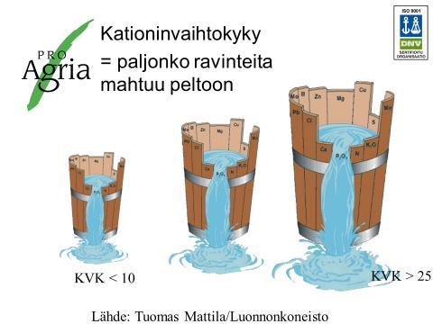 Riittääkö pelkkä perustutkimus?