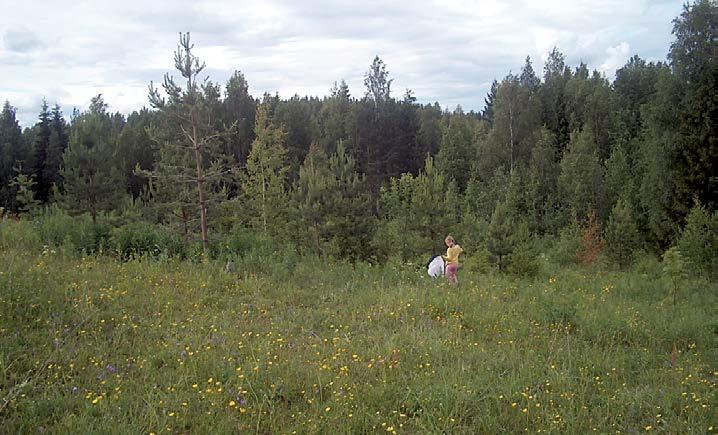 Suorittamamme yksittäiset hoitokerrat eivät riitä pitkällä aikavälillä pitämään niittyä avoimena, vaan pitkäjänteinen hoitosuunnitelma olisi tarpeen. Lähteet: Kullberg, J., Albrecht, A., Kaila, L.