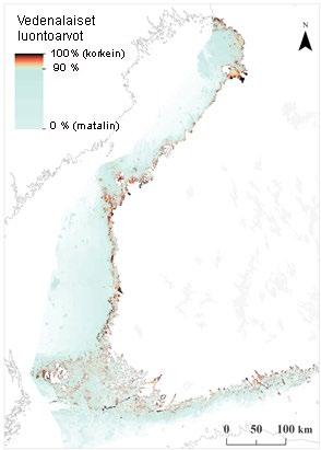 Vedenalaisen luonnon inventointiohjelma (VELMU) ja vedenalaisen luonnon monimuotoisuuskeskittymät Vedenalaisen meriluonnon monimuotoisuuden inventointi-ohjelmassa (VELMU) on vuodesta 2004 lähtien