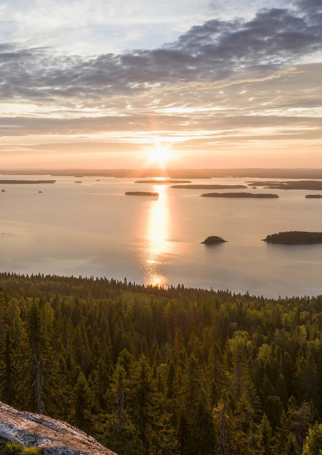 Polku luontoon! Näkökulmia yhdenvertaisen luontoliikunnan edistämiseen.
