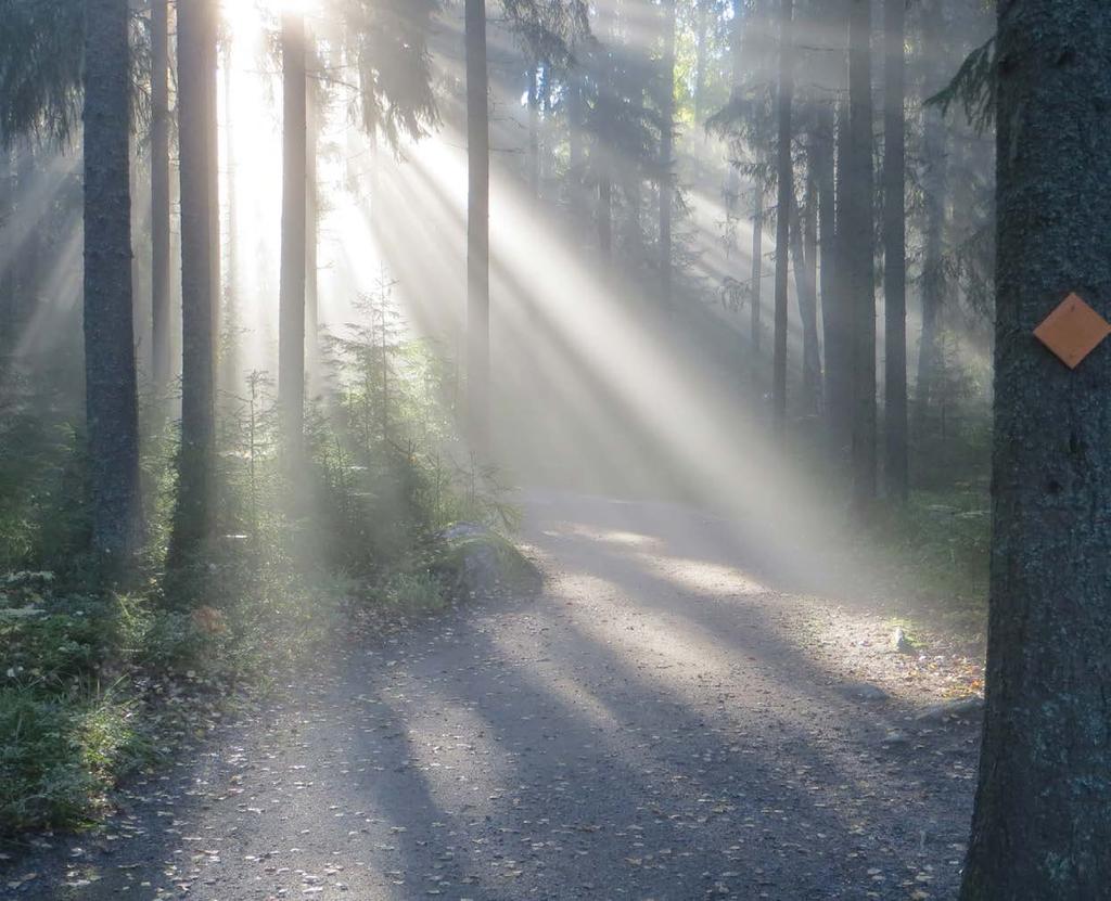 1.5. Metsähallitus Luontopalvelut 11. Metsähallitus on valtion maa- ja vesialueita hallinnoiva liikelaitos, jonka vastuulla on hoitaa kolmasosaa Suomen pinta-alasta.