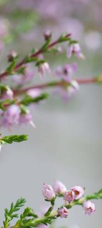 16. Innovaatiot uudistavat toimintaa Uusien innovaatioiden synnyttäminen ja kokeileminen mahdollistuu hankkeiden aikana.