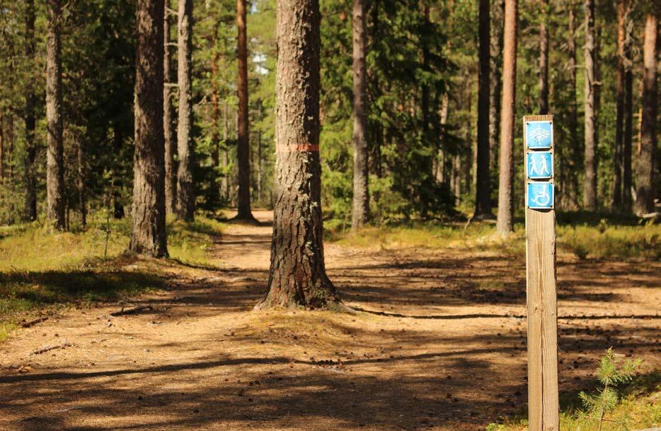 24. 3.4. Esittelyssä Polku luontoon luontoliikunnan suunnittelutyökalu Osana Polku luontoon -kehittämistoimintaa toteutettiin palvelumuotoilun opein