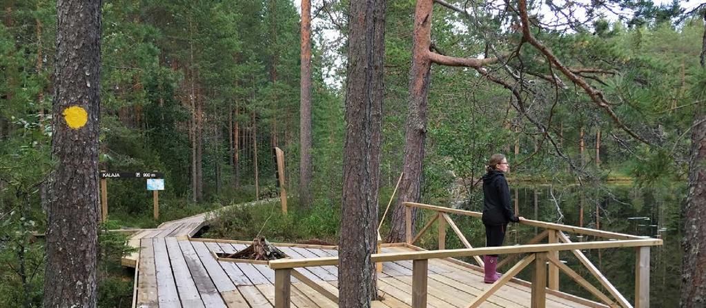28. Näkökulma Luontoympäristöt liikunta-aktiivisuuden edistäjinä teksti: Marjo Neuvonen, tutkija, Luonnonvarakeskus; Katja Kangas, tutkija, Luonnonvarakeskus ja Liisa Tyrväinen, NatureMove-projektin