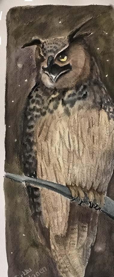 Luontoon pääsyn arvostaminen tuli vasta sairauden jälkeen. Eräänä iltana vuonna 2012 metsästä kantautunut huuhkajan huhuilu muutti kuitenkin paljon.
