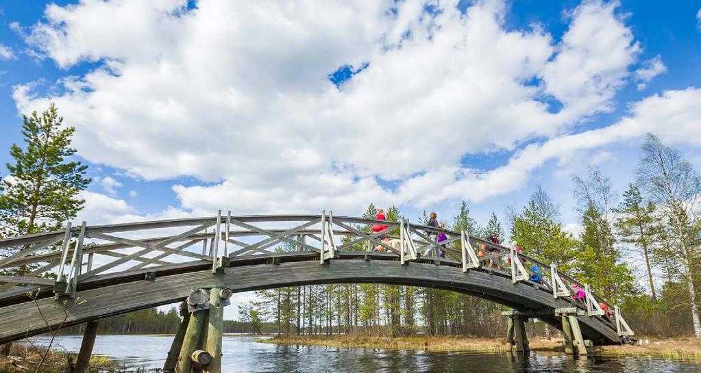 Näkökulma 37. Luontoliikunta liikkujan poluilla teksti: Matleena Livson, erityisasiantuntija, Suomen Olympiakomitea Luonnosta moni löytää sen omimman tuntuisen liikkujan polkunsa.