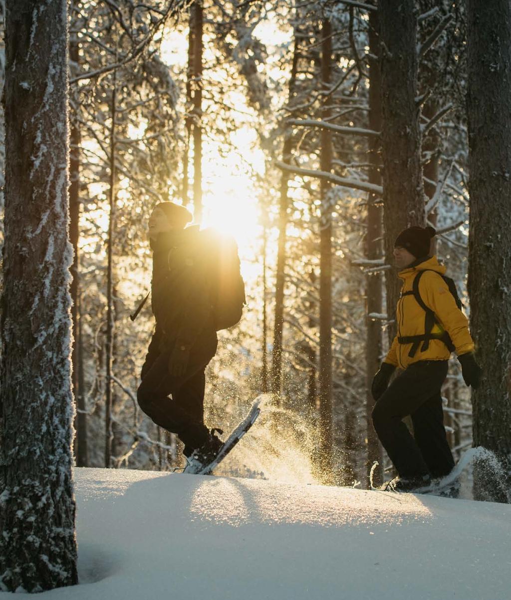 6. 1. Polku luontoon Luonto on monelle suomalaiselle tärkeä ja merkityksellinen liikkumisympäristö.