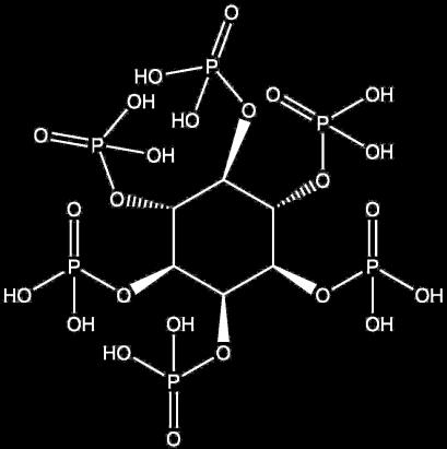 a 6.1.b 6.1.c Molekyyleistä 6.1.a 6.1.c triasyyliglyseroli on / triasyyliglyseroleja ovat (rastita): 6.