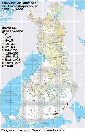 Etelänhopeatäplä jäi jo toista vuotta peräkkäin ilman havaintoja.