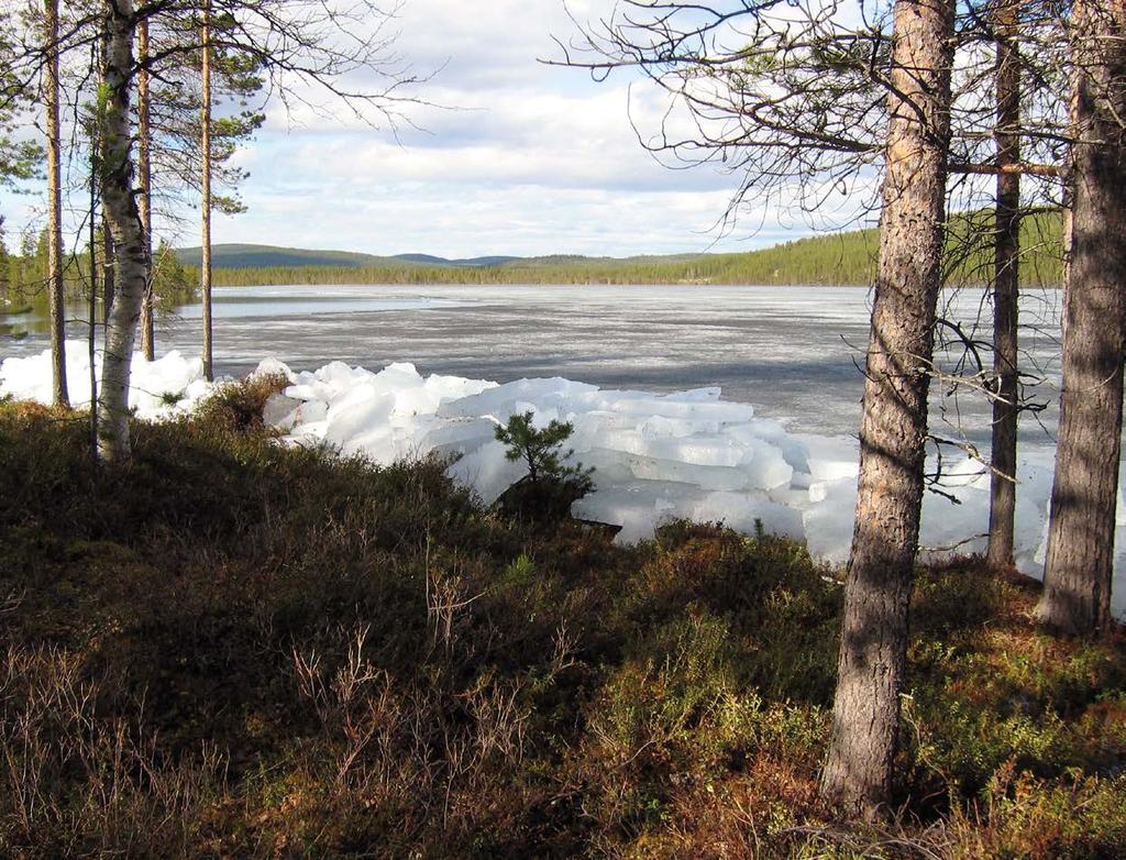 Uusia perhoshavaintoja Lapista vuosina 1984 2014 Erkki M. Laasonen & Leena Laasonen Kuvat/photos Leena Laasonen. Suuren kevättulvan rantaan runnomaa jäätä Kattajärvessä Inarissa vuonna 2005.