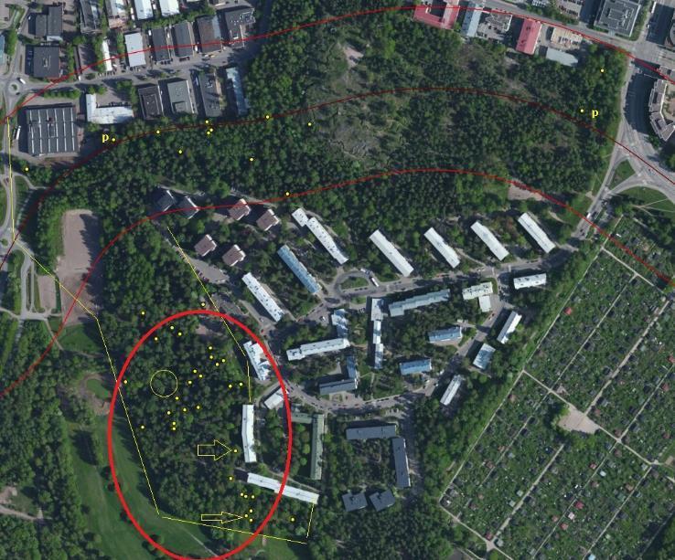 LIITO-ORAVAN YDINALUEITA PATTERINMÄKI Selvitykset - Ramboll 03/2018 - Enviro 04/2018 - Uudet tiedot 2019 Nuolilla osoitettu pesäpuut Hajahavaintoja ratalinjalta (papanamäärät pieniä) Ydinalueet