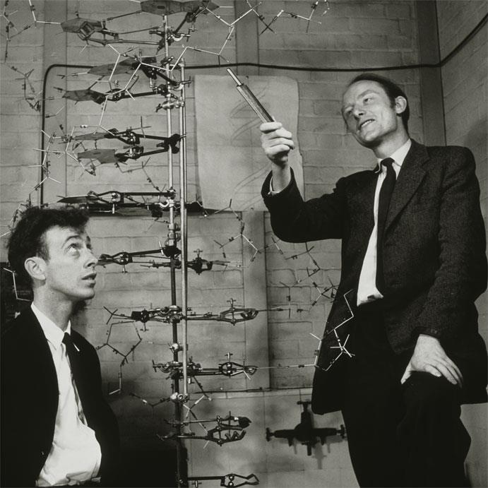 Francis Crick ja James D. Watson Francis Crick ja James D.