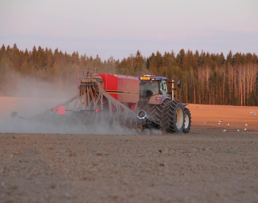 Uudet kaksitahoiset lajikkeet tarvitsevat riittävän lannoituksen.