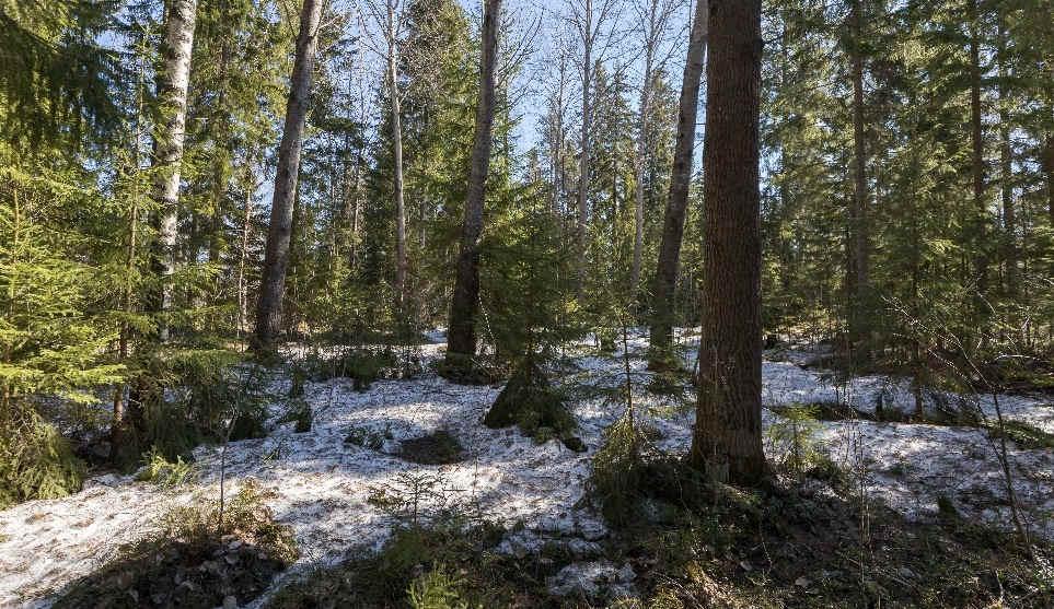 Parhaiten liito-oravalle sopivat alueet olivat lännessä