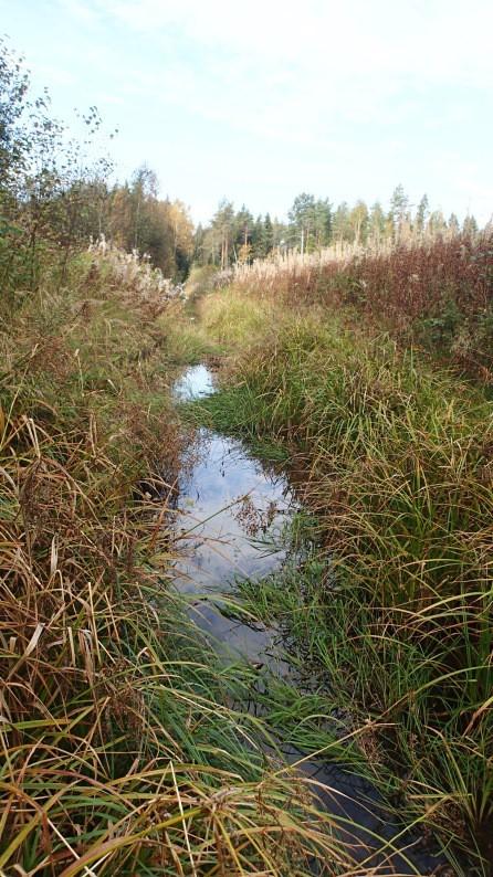 9 3.9 Humpelenki - Tukkikoski Uksjoki jatkaa matkaansa samanlaisena, vähän savilietteisenä, umpeen kasvavana ja hidasvirtaisena uomana kohti Tukkikoskea.