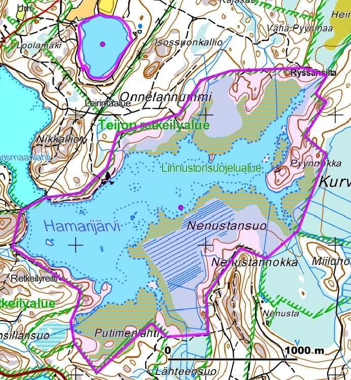 Suojelutoimenpiteet: Hamarijärvi on pääosin linnustonsuojelualuetta ja kuuluu nykyisin myös Teijon kansallispuistoon. Hamarijärven padot ovat edelleen säädettäviä.